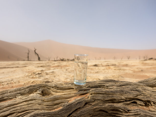 水是生存之本