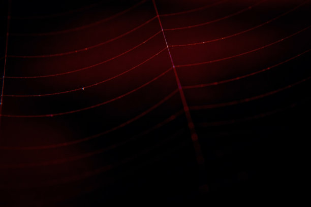 红web