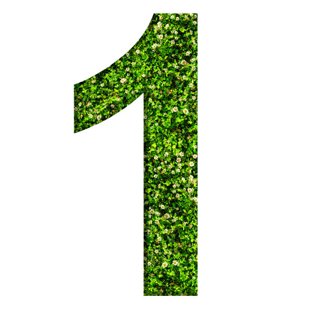 no1logo