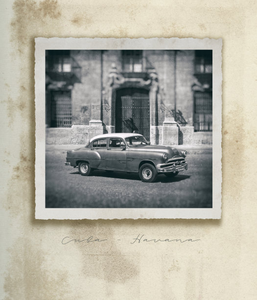 1950s