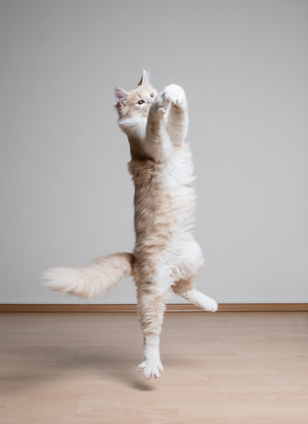 leaping