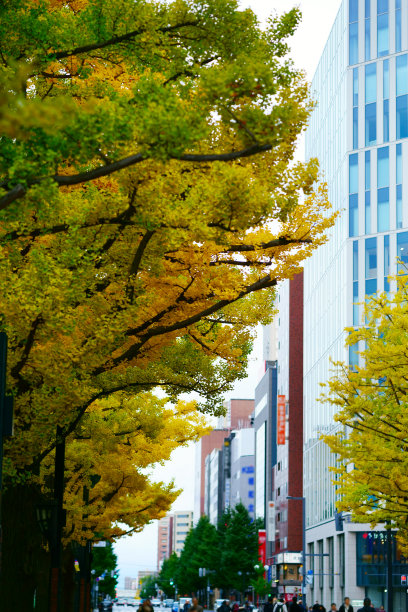 odori