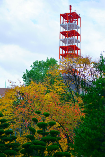 odori