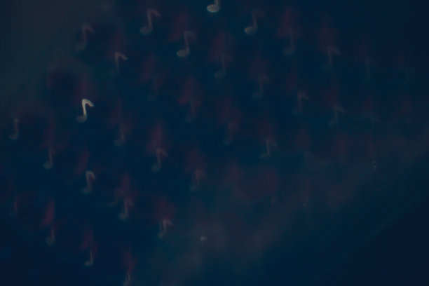chant