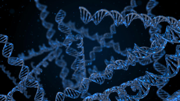 染色体,分子结构,螺旋