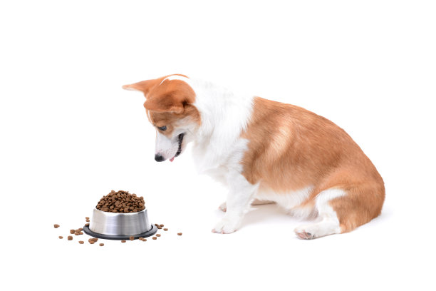 eating