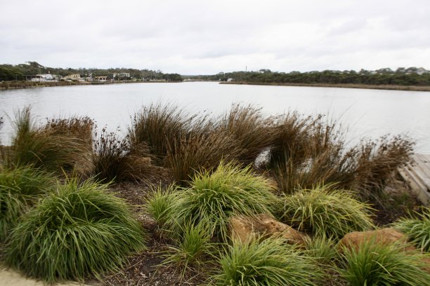 anglesea