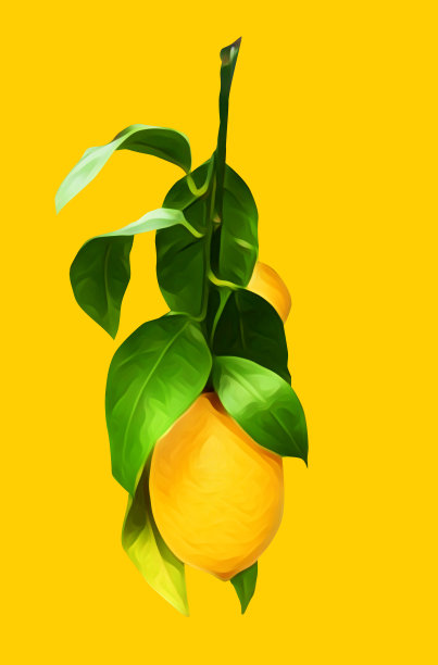 柠檬汁包装插画
