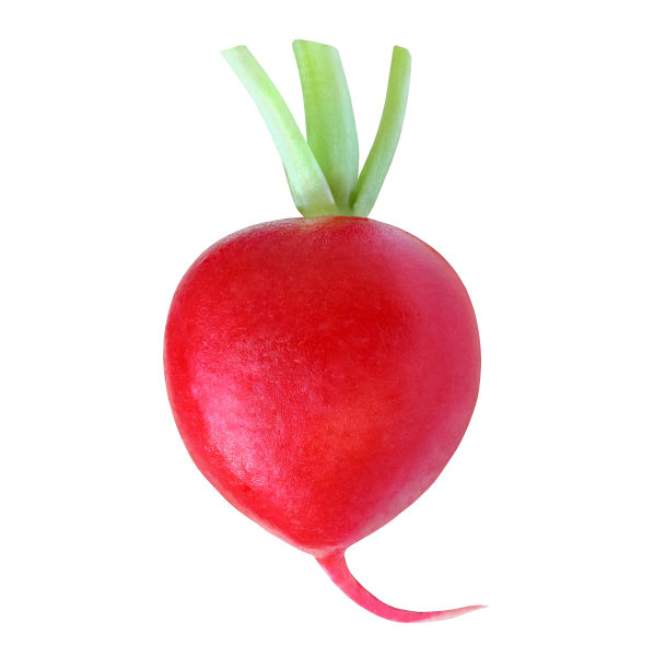 radishes