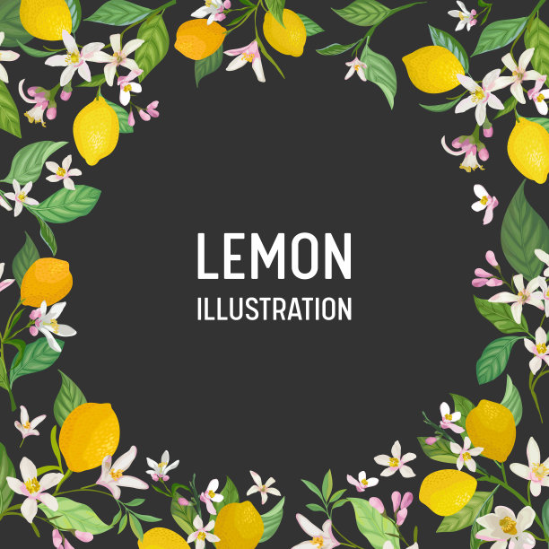 柠檬宣传柠檬画册