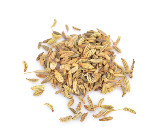fennel