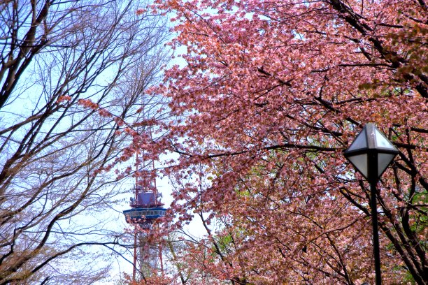 odori