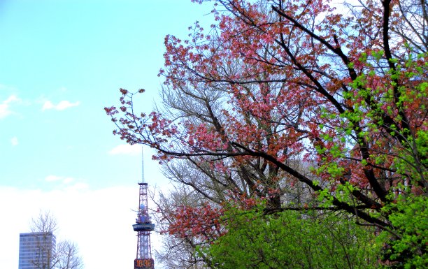 odori