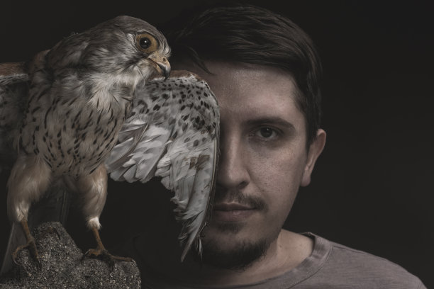 hawk