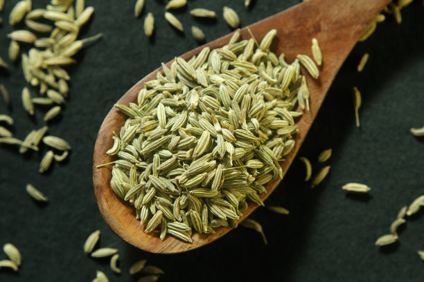 fennel