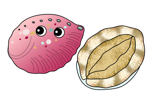abalone