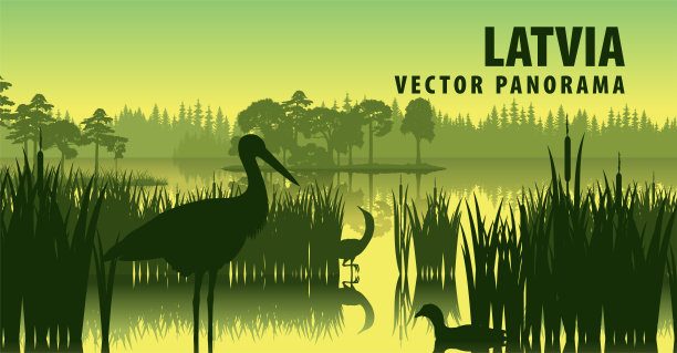 wetland