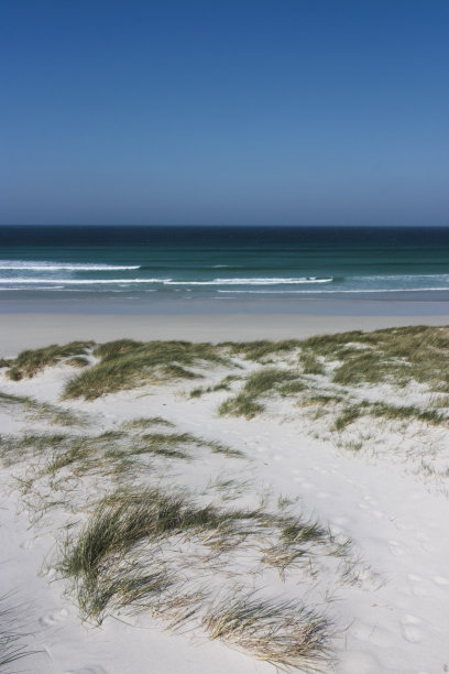 barra