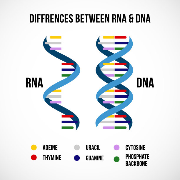 rna