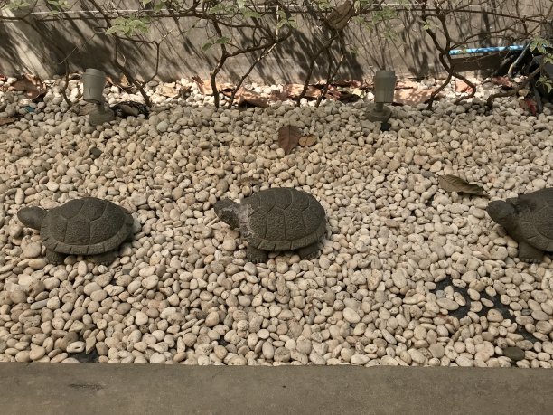 石乌龟雕塑
