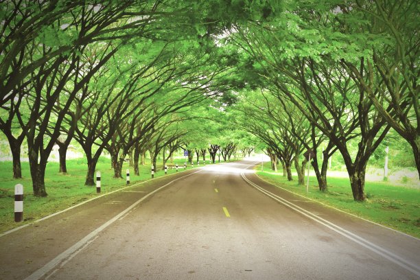 avenue