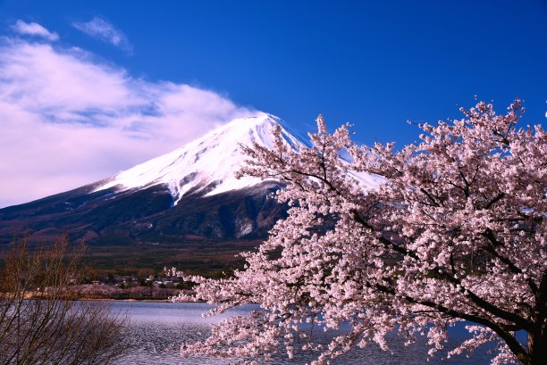 fuji