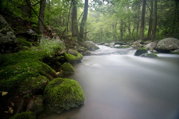 shenandoah