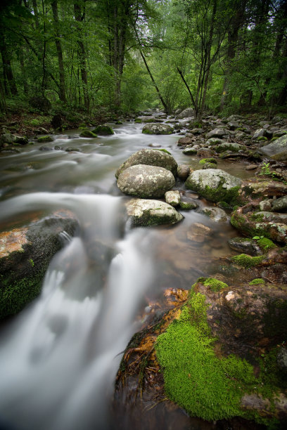 shenandoah
