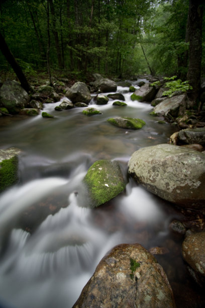 shenandoah