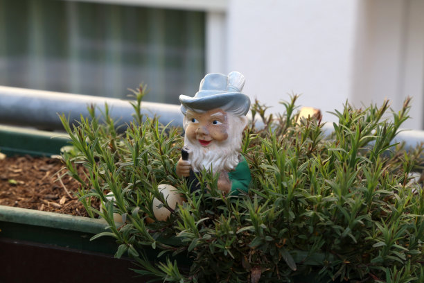 gnome