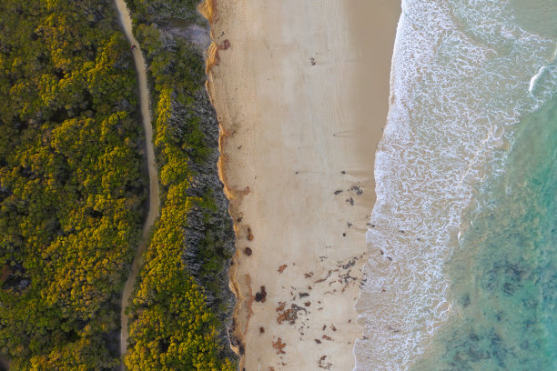 anglesea