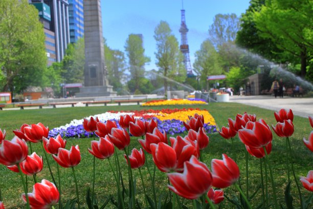 odori