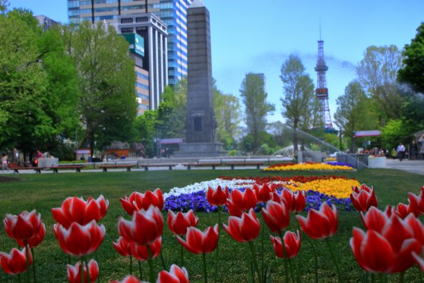 odori