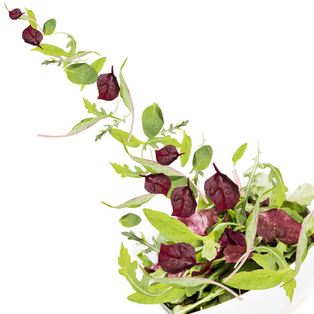 garnish