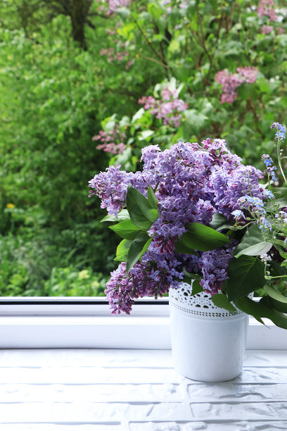 紫薇花瓶