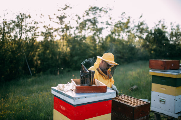 Beekeeper,蜂蜡,养蜂