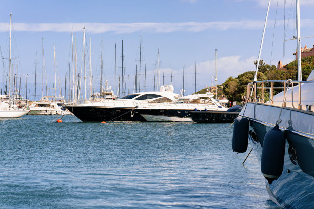 cervo