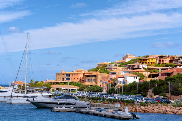 cervo