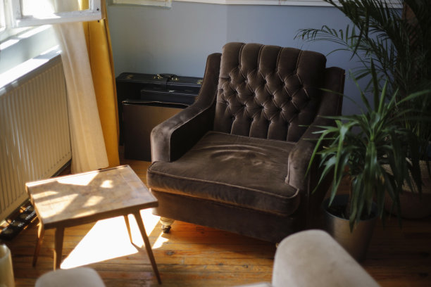 芭蕉叶沙发背景