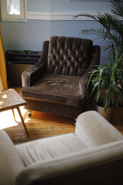 芭蕉叶沙发背景