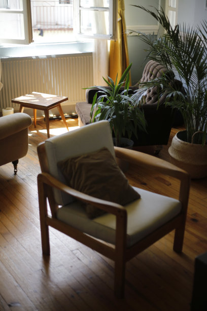 芭蕉叶沙发背景