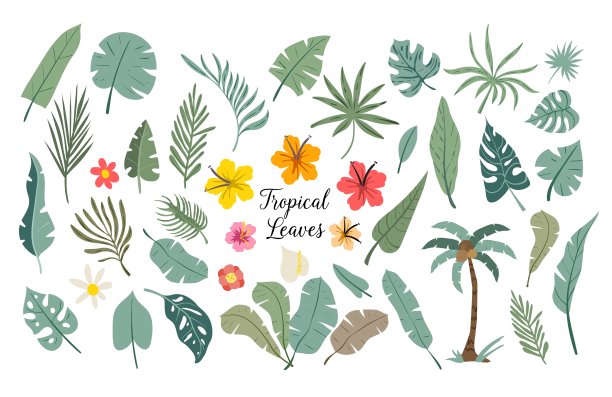 绘画艺术植物绿叶