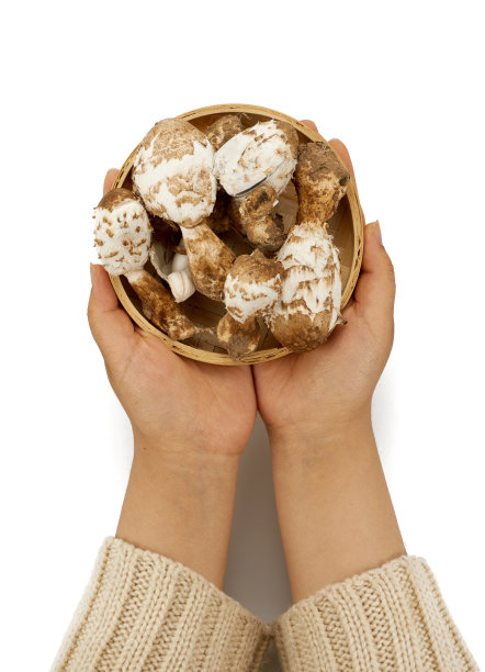 coprinus
