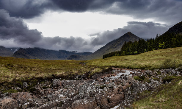 donan