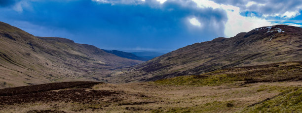 donan