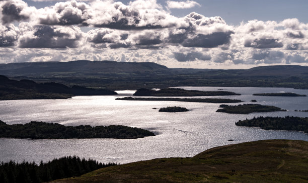 donan