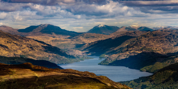 donan