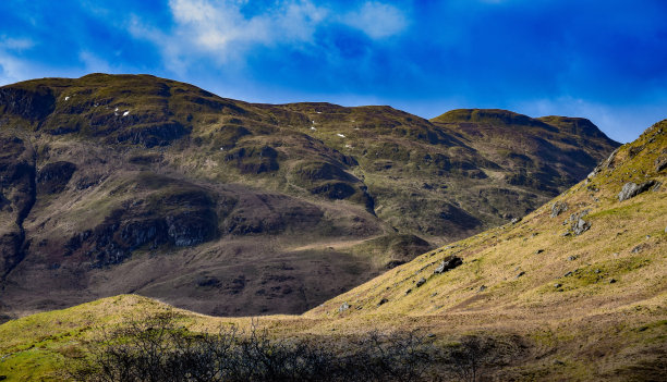 donan