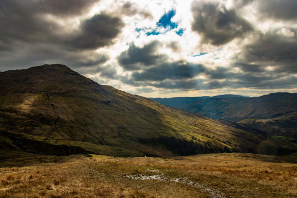 donan