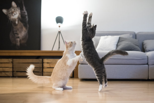 leaping